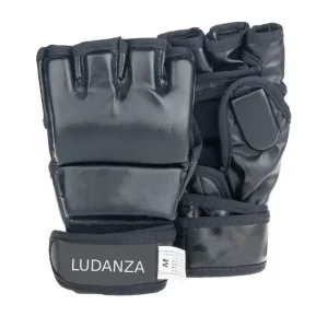 MMA Gloves