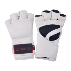 MMA Gloves