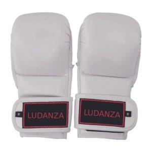 MMA Gloves